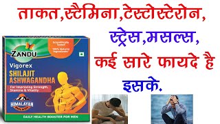 Zandu Vigorex Shilajit Ashwagandha Capsule Ke Fayde  Stamina Weakness Testo ED Performance [upl. by Atauqal31]