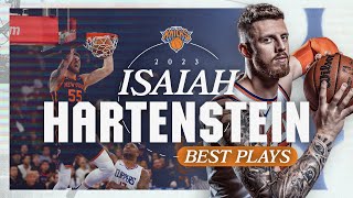 BEST PLAYS of Isaiah Hartenstein in 2023 [upl. by Benedicto199]