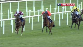 Punchestown Festival Day2 Highlights [upl. by Alegnaed840]