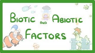 GCSE Biology  Biotic and Abiotic Factors 83 [upl. by Anoif]