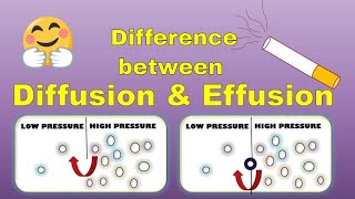 Difference between Diffusion and Effusion Class 11 Chemistry Real Life Examples  Gaseous State [upl. by Wernher628]