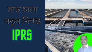 IPRS  iprs Fish Farming Technology Bangladesh [upl. by Latrina]