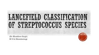 Lancefield classification of streptococcus species [upl. by Trebbor463]