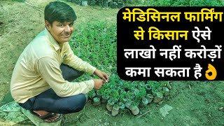 औषधीय पौधों की खेती ऐसे शुरू करेंMedicinal plant cultivation Farming in india [upl. by Ejrog]