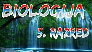 Skola  Biologija 5 Razred  Mahovine [upl. by Flip]