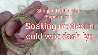 Nettle Fibre Experiment Cold Woodash Lye [upl. by Nathanial]