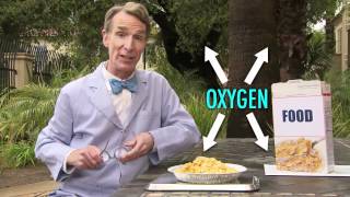 Why Does Exercise Make You TiredConsider the Following With Bill Nye [upl. by Bronez]