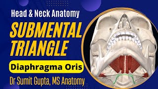 SUBMENTAL TRIANGLE  Anatomy [upl. by Haslett]