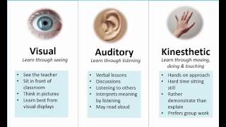 Learning Styles Preferences VAK [upl. by Kowatch]