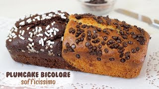 PLUMCAKE BICOLORE SOFFICISSIMO Ricetta facile  bicolor plumcake [upl. by Drhacir]