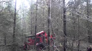 Fellerbuncher and skidder working at Hanson Family Forest [upl. by Eidob]