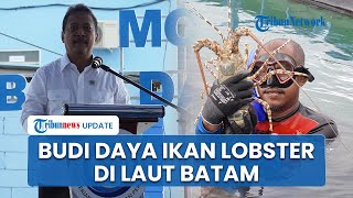 Menteri Trenggono Resmikan Modeling Budidaya Lobster di Batam Komoditas Penting Perikanan Indonesia [upl. by February]