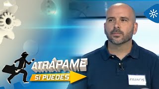 Atrápame si puedes TOP  Programa 14 [upl. by Acnairb]