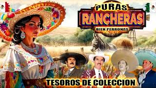 PURAS RANCHERAS BIEN PERRONAS MIX TESORO DE COLECCION [upl. by Eillac]