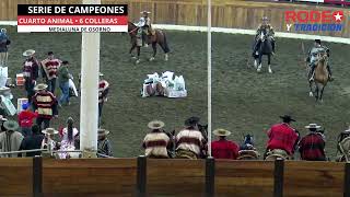 SERIE DE CAMPEONES RODEO INTERASOCIACIONES  CLUN OSORNO CANCURA ASOCIACION OSORNO [upl. by Ardnayek472]