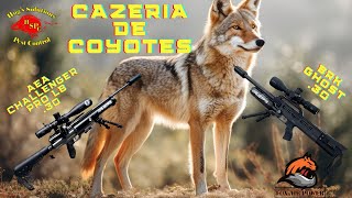 AEA CHALLENGER PRO LB 30 VS BRK GHOST 30 CAZANDO COYOTES [upl. by Lednahc36]