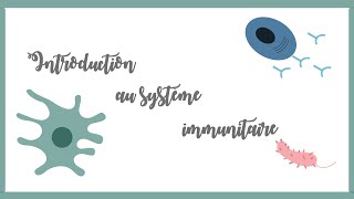 Introduction au système immunitaire inné et adaptatifImmunologie [upl. by Aidile]