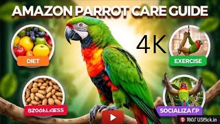 Amazon Parrot Insights Diet Exercise and Socialization [upl. by Petty]