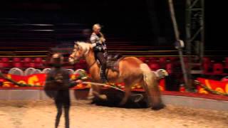 Vaulting horse training by Circus Renz [upl. by Sylera]