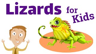 Lizards for Kids  Homeschool Pop [upl. by Artenak322]