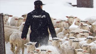 Docile Drivers amp Big Profits The Shepherd and the Sheep of Rideshare [upl. by Elka]