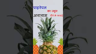 Secrets of Pineapple Juice Benefits pineapple juice ke fayde Ananas [upl. by Anawait]