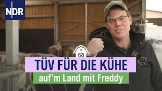 Zwischen Tierwohl und Rinderbraten die Wirklichkeit auf einem Hof  Folge 4  NDR aufm Land [upl. by Jew174]