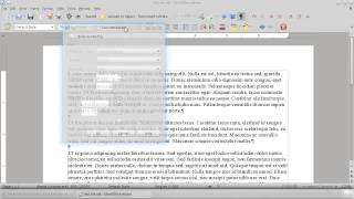 LibreOffice 4 How To turn on line numbering [upl. by Eimmas]
