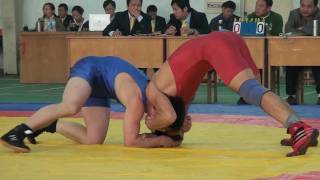 Freestyle Wrestling China 74kg Match 00178 [upl. by Ateloiv]