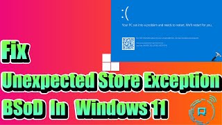 Fix Unexpected Store Exception BSoD in Windows 11 [upl. by Arundell]