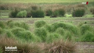 Naturschutzgebiet in GronauEpe illegal trockengelegt [upl. by Sleinad480]