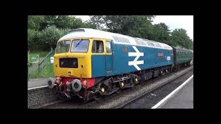 WATERCRESS LINE DIESEL GALA VIDEO DIARY 14th JULY 2024 [upl. by Livvi]