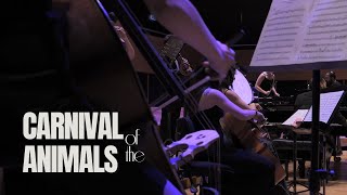 SaintSaëns Carnival of the Animals l FINALE [upl. by Devinna]