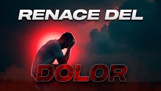 Renace del Dolor  Discursos Motivacionales  Anderson Loaiza [upl. by Montford]