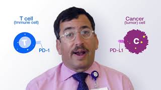 Explaining Immunotherapy PDL1 and PD1 [upl. by Nereil]