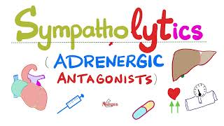 Sympatholytics Adrenergic Antagonists — Alpha blockers Beta blockers Calcium channel blockers [upl. by Barren415]