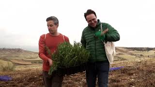 BosqueIberia  Completamos la plantación de los 4000 árboles en Paracuellos de Jarama [upl. by Philip]