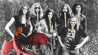 LYNYRD SKYNYRD  FREEBIRD  SHITTYFLUTED [upl. by Silliw]