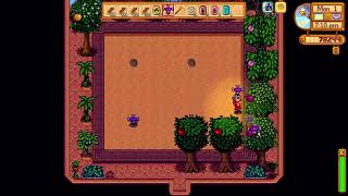 How to plant 6 Iridium Sprinklers for full coverage in Greenhouse  Stardew Valley 16 [upl. by Pember]