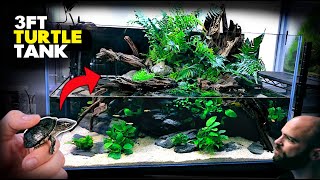 Aquascape Tutorial 💚 3ft TURTLE Aqua Terrarium  Paludarium  Aquarium How To Planted Tank Guide [upl. by Culver]