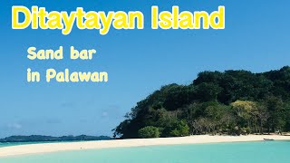 Ditaytayan Sand bar Palawan Island Escapade [upl. by Eecyac]