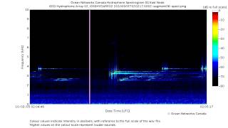 Powerful Sonar Pings and Sweeps in the Strait of Georgia [upl. by Anemix]