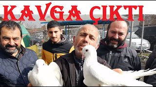 2Bölüm  Güvercin Pazarında Kavga  Edirne Kapı Güvercin Pazarı  İstanbul Kuş Pazarı [upl. by Carrington364]