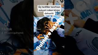 994 51 331 89 90 vatsap aktivdir əlaqə saxlaya bilərsiz [upl. by Viki]