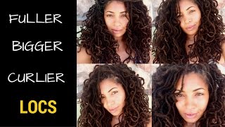 Fuller Bigger Curlier Locs [upl. by Adham750]