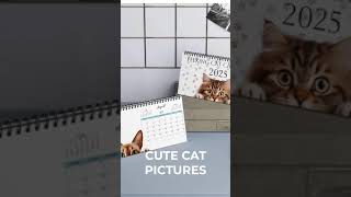 Peeking Cat Calendar Peeking Cat Desk Calendar Cat Desk Calendar Cat Calendar Desk Calendar [upl. by Ennyroc]