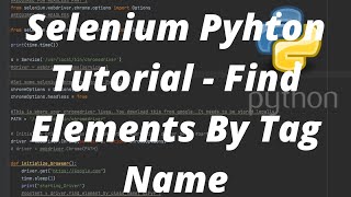 Selenium Pyhton Tutorial  Find Elements By Tag Name [upl. by Tenaej]