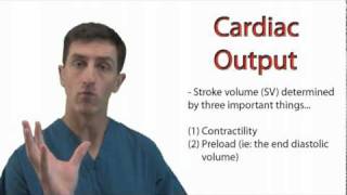 The Physiology of Cardiac Output [upl. by Noswal574]