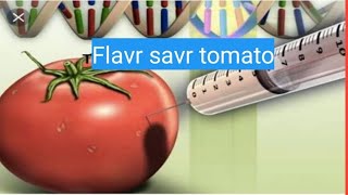 Flavr Savr Tomatomybotany [upl. by Nehtanhoj660]