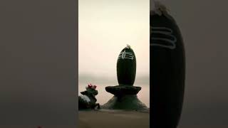 Har har Mahadev 💓 mahadev shiv shortvideo hindu sanatani [upl. by Junie]